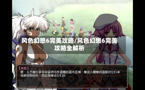 风色幻想6完美攻略/风色幻想6完美攻略全解析