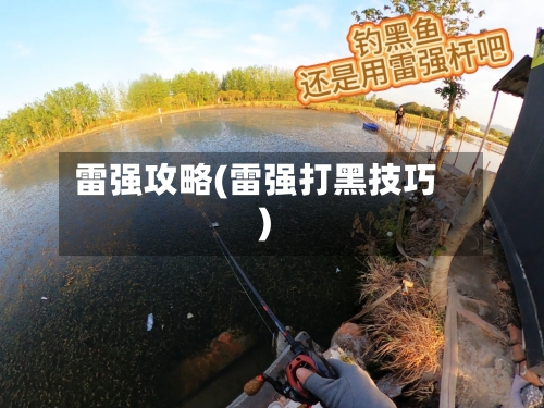 雷强攻略(雷强打黑技巧)