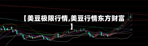 【美豆极限行情,美豆行情东方财富】