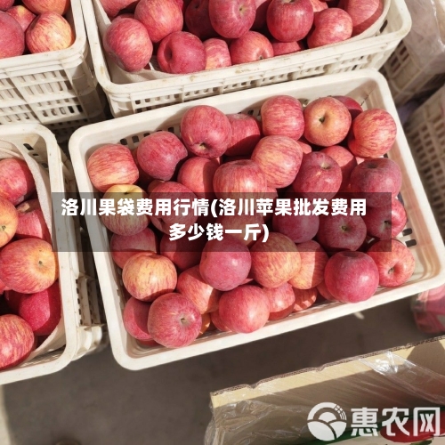 洛川果袋费用行情(洛川苹果批发费用多少钱一斤)-第2张图片
