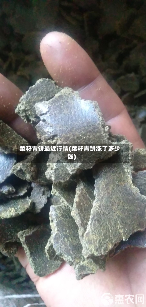 菜籽青饼最近行情(菜籽青饼涨了多少钱)-第3张图片