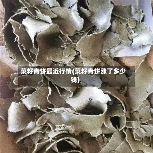 菜籽青饼最近行情(菜籽青饼涨了多少钱)-第2张图片