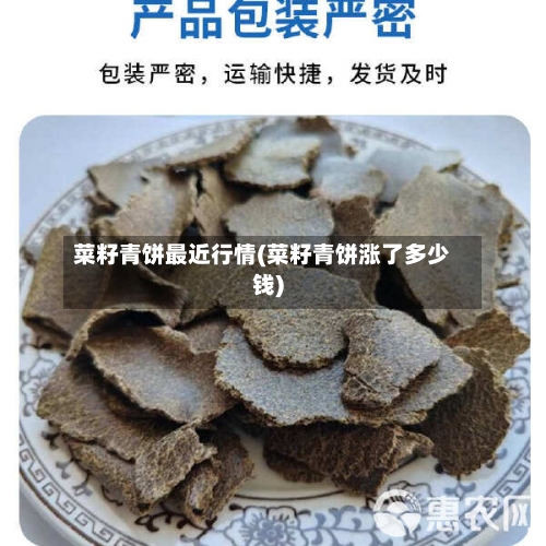 菜籽青饼最近行情(菜籽青饼涨了多少钱)