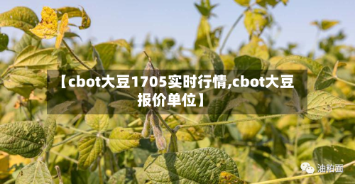【cbot大豆1705实时行情,cbot大豆报价单位】