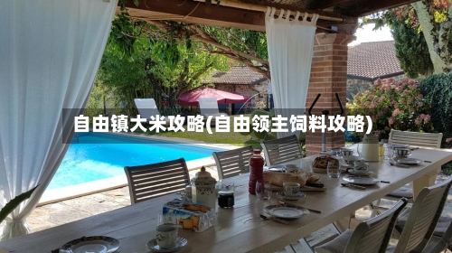 自由镇大米攻略(自由领主饲料攻略)