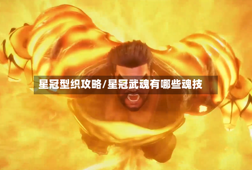 星冠型织攻略/星冠武魂有哪些魂技-第2张图片