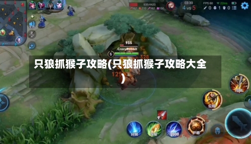 只狼抓猴子攻略(只狼抓猴子攻略大全)