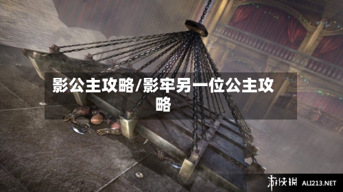 影公主攻略/影牢另一位公主攻略-第2张图片