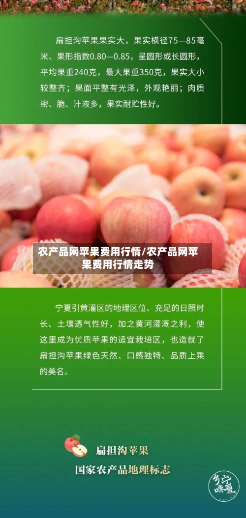 农产品网苹果费用行情/农产品网苹果费用行情走势-第2张图片