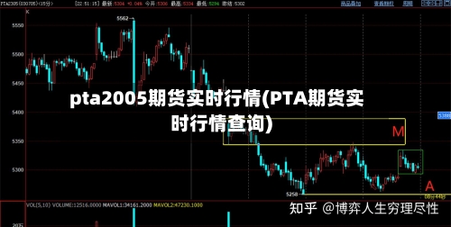 pta2005期货实时行情(PTA期货实时行情查询)-第2张图片