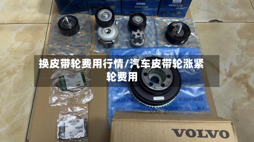 换皮带轮费用行情/汽车皮带轮涨紧轮费用-第2张图片