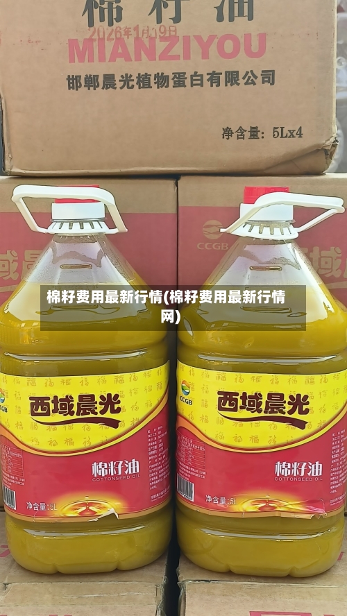 棉籽费用最新行情(棉籽费用最新行情网)