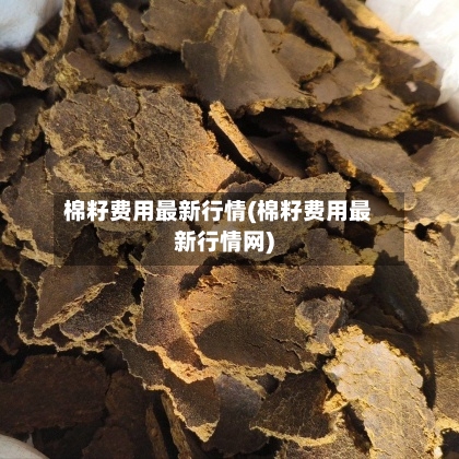 棉籽费用最新行情(棉籽费用最新行情网)-第2张图片