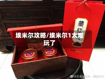 埃米尔攻略/埃米尔1太难玩了