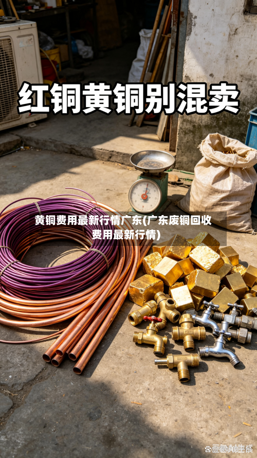 黄铜费用最新行情广东(广东废铜回收费用最新行情)-第2张图片