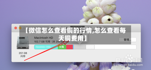 【微信怎么查看铜的行情,怎么查看每天铜费用】