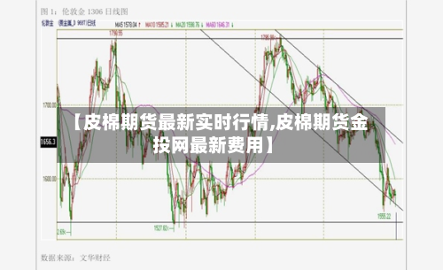 【皮棉期货最新实时行情,皮棉期货金投网最新费用】-第3张图片