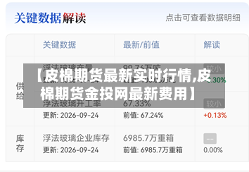 【皮棉期货最新实时行情,皮棉期货金投网最新费用】-第2张图片