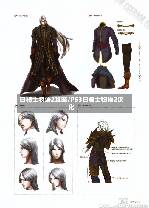 白骑士物语2攻略/PS3白骑士物语2汉化