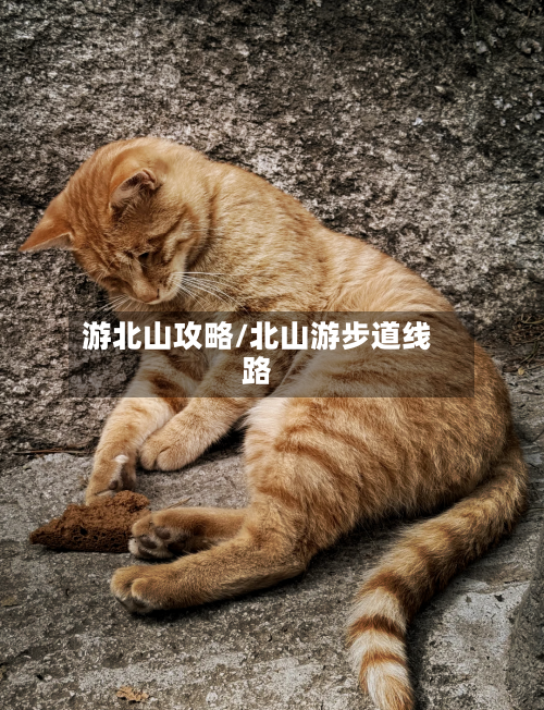 游北山攻略/北山游步道线路