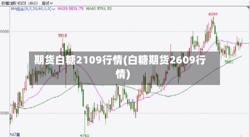 期货白糖2109行情(白糖期货2609行情)
