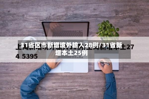 31省区市新增境外输入28例/31省新增本土25例