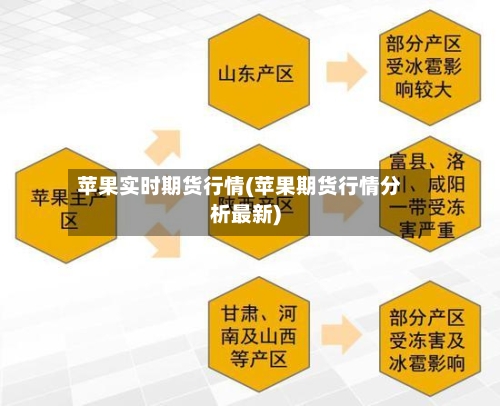 苹果实时期货行情(苹果期货行情分析最新)