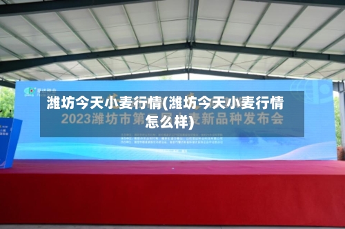 潍坊今天小麦行情(潍坊今天小麦行情怎么样)-第2张图片