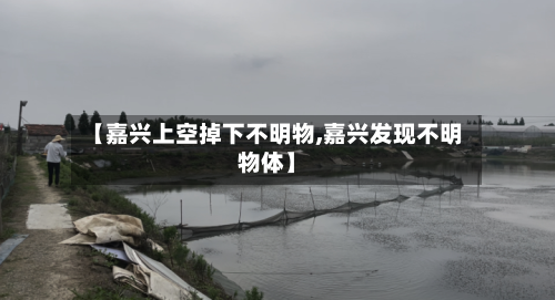 【嘉兴上空掉下不明物,嘉兴发现不明物体】-第2张图片