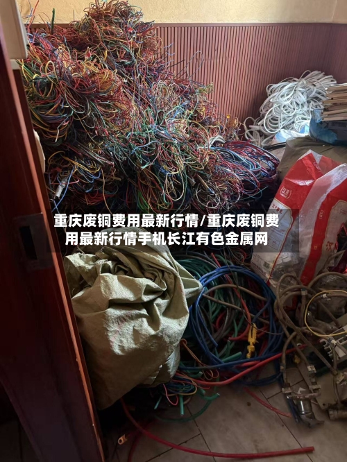 重庆废铜费用最新行情/重庆废铜费用最新行情手机长江有色金属网