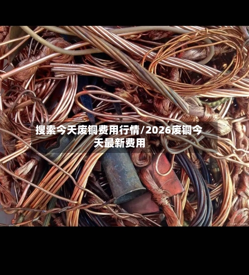 搜索今天废铜费用行情/2026废铜今天最新费用-第2张图片