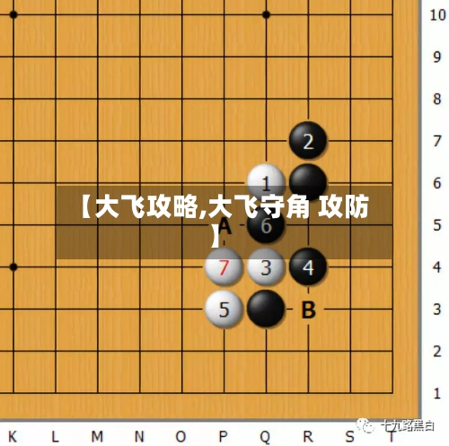 【大飞攻略,大飞守角 攻防】