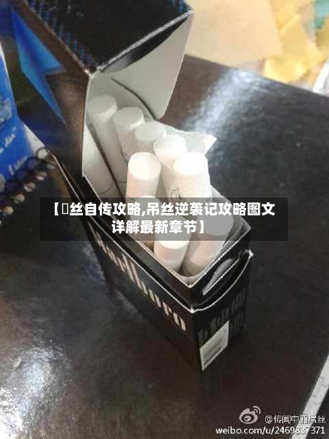【屌丝自传攻略,吊丝逆袭记攻略图文详解最新章节】-第3张图片