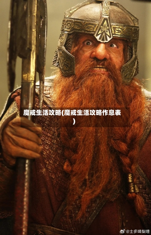 魔戒生活攻略(魔戒生活攻略作息表)