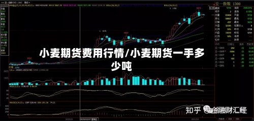 小麦期货费用行情/小麦期货一手多少吨-第2张图片