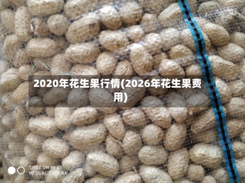 2020年花生果行情(2026年花生果费用)