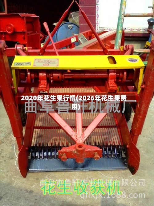 2020年花生果行情(2026年花生果费用)-第3张图片