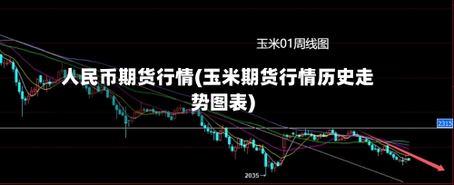 人民币期货行情(玉米期货行情历史走势图表)