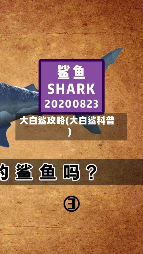 大白鲨攻略(大白鲨科普)-第3张图片