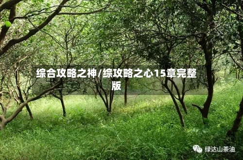 综合攻略之神/综攻略之心15章完整版
