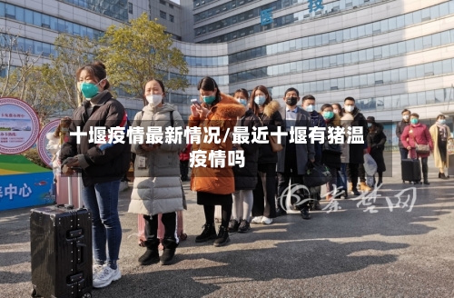 十堰疫情最新情况/最近十堰有猪温疫情吗