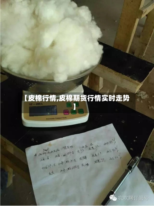 【皮棉行情,皮棉期货行情实时走势】