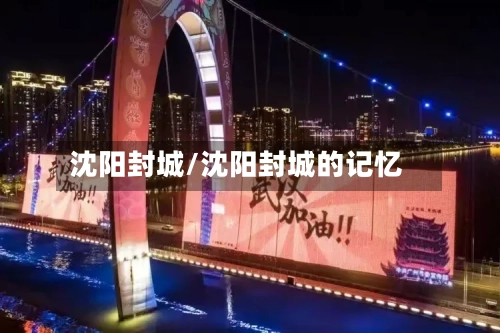 沈阳封城/沈阳封城的记忆-第2张图片