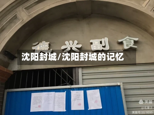 沈阳封城/沈阳封城的记忆