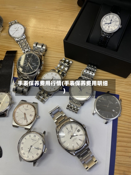 手表保养费用行情(手表保养费用明细)
