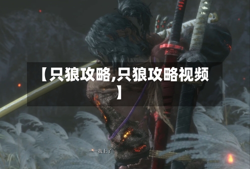 【只狼攻略,只狼攻略视频】
