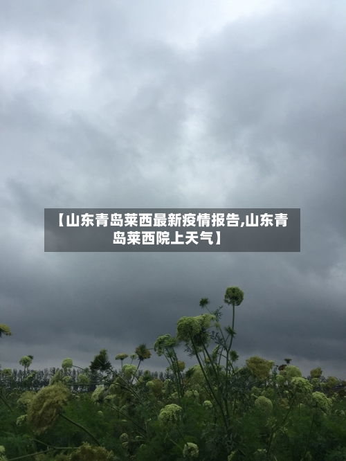 【山东青岛莱西最新疫情报告,山东青岛莱西院上天气】