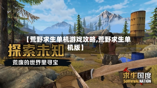 【荒野求生单机游戏攻略,荒野求生单机版】