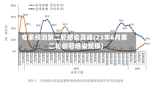 专家预测第二轮感染高峰(23年6月第二轮新冠感染规模)-第2张图片