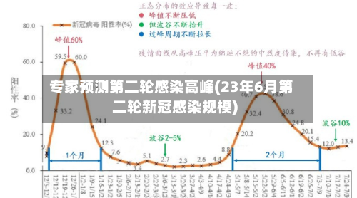 专家预测第二轮感染高峰(23年6月第二轮新冠感染规模)-第3张图片